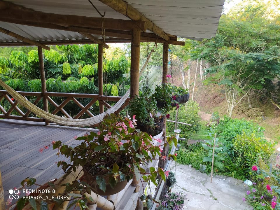 View (from property/room), Balcony/Terrace, Garden view