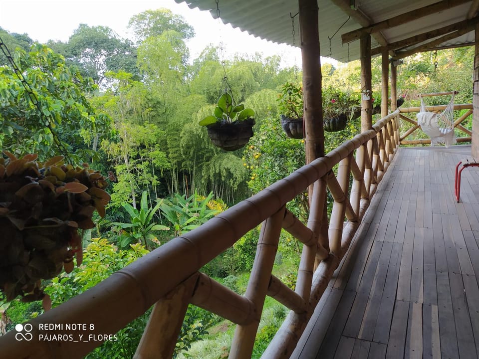 Garden, View (from property/room), Balcony/Terrace
