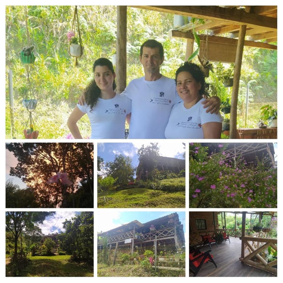 Garden, Swimming pool, Family