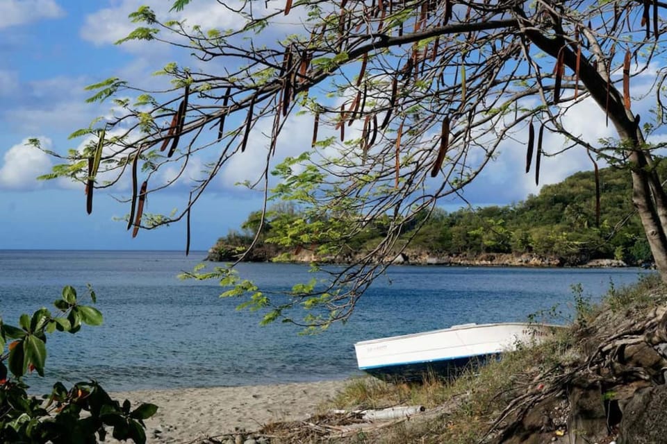 Natural landscape, Beach