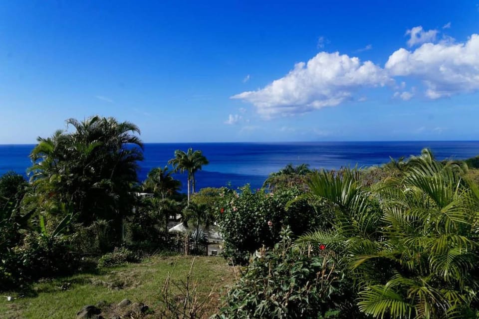 Nearby landmark, Spring, Natural landscape, Sea view