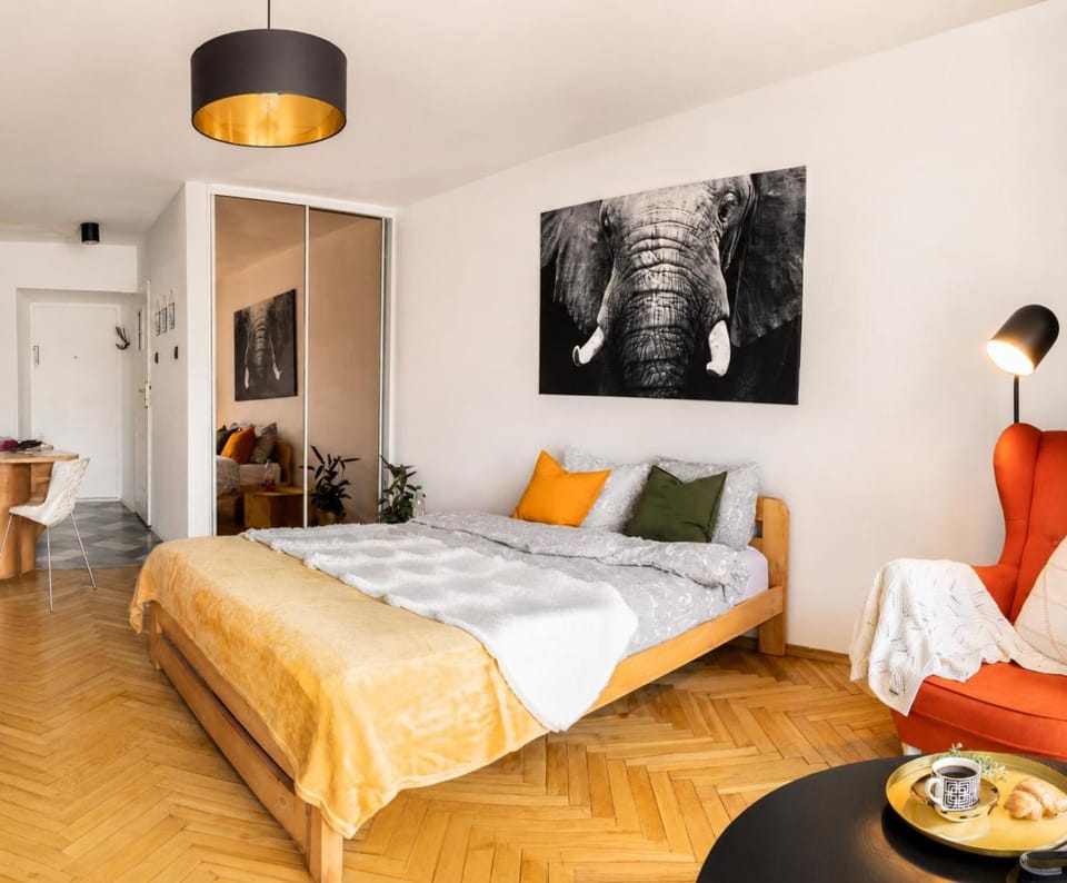 Bed, Living room, Food and drinks, Photo of the whole room, Seating area, Bedroom