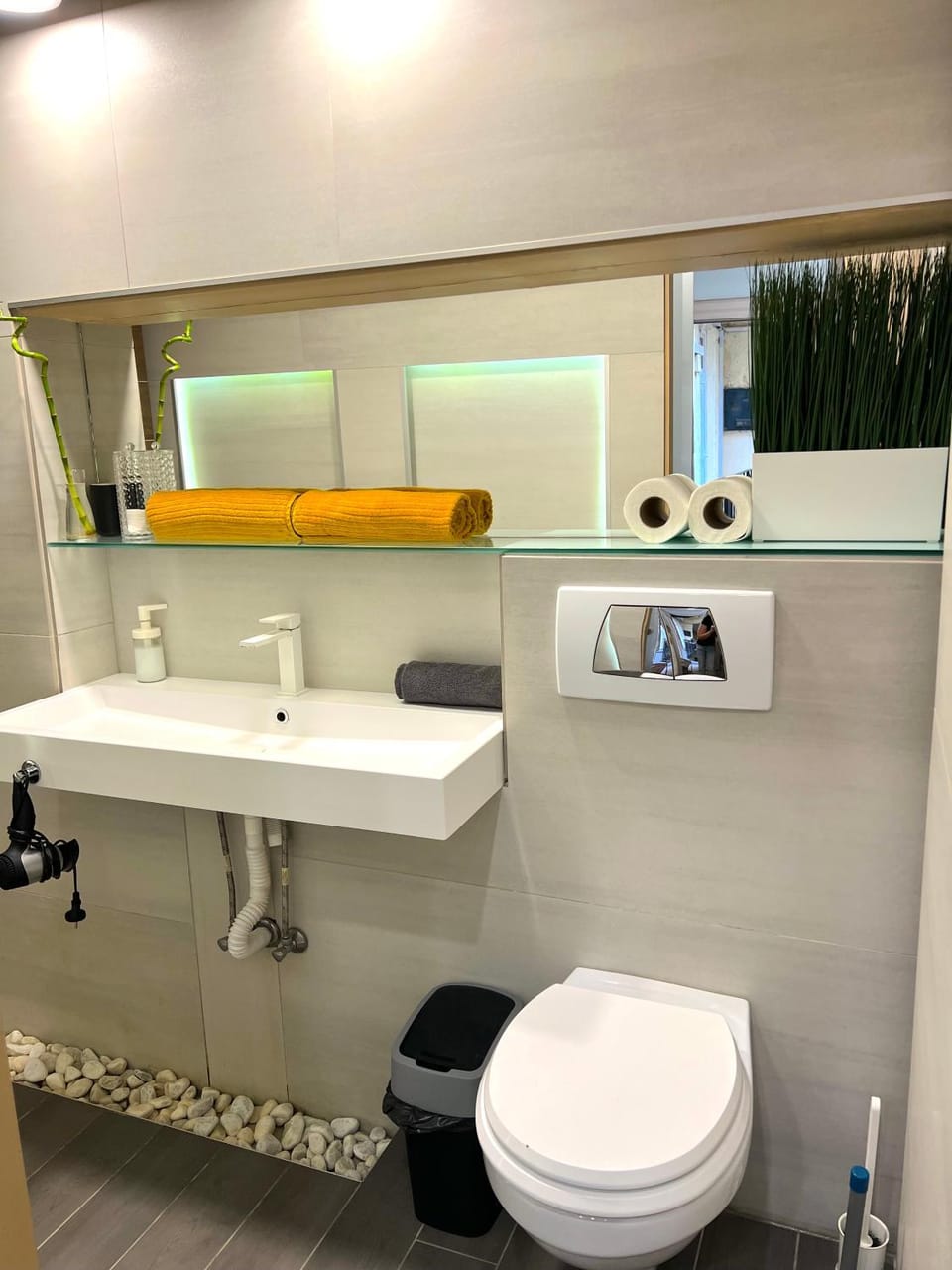 Toilet, Bathroom