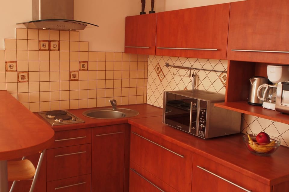 Wisełka Studio Apartment in West Pomeranian Voivodeship, Poland