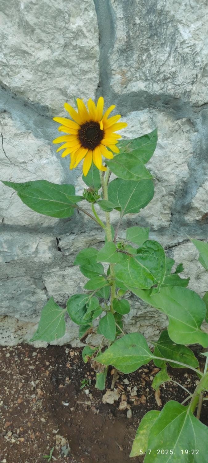 Apartmani Andric Apartment in Dubrovnik-Neretva County