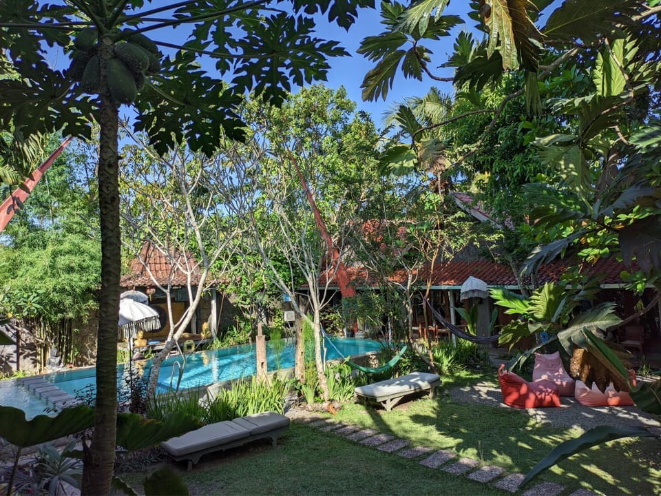 Day, Natural landscape, Garden, Garden view, Pool view, Swimming pool, Swimming pool, sunbed