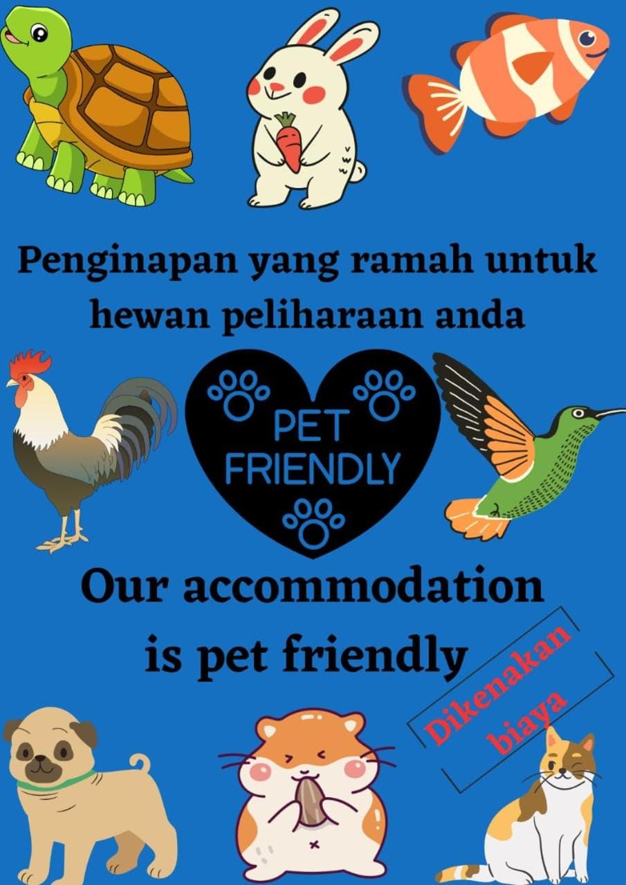 Animals, Pets, pet friendly