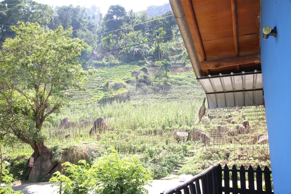 Natural landscape, Garden view