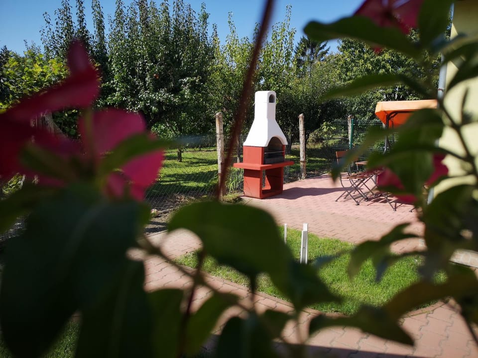 Spring, Day, Natural landscape, BBQ facilities, Garden, Garden view