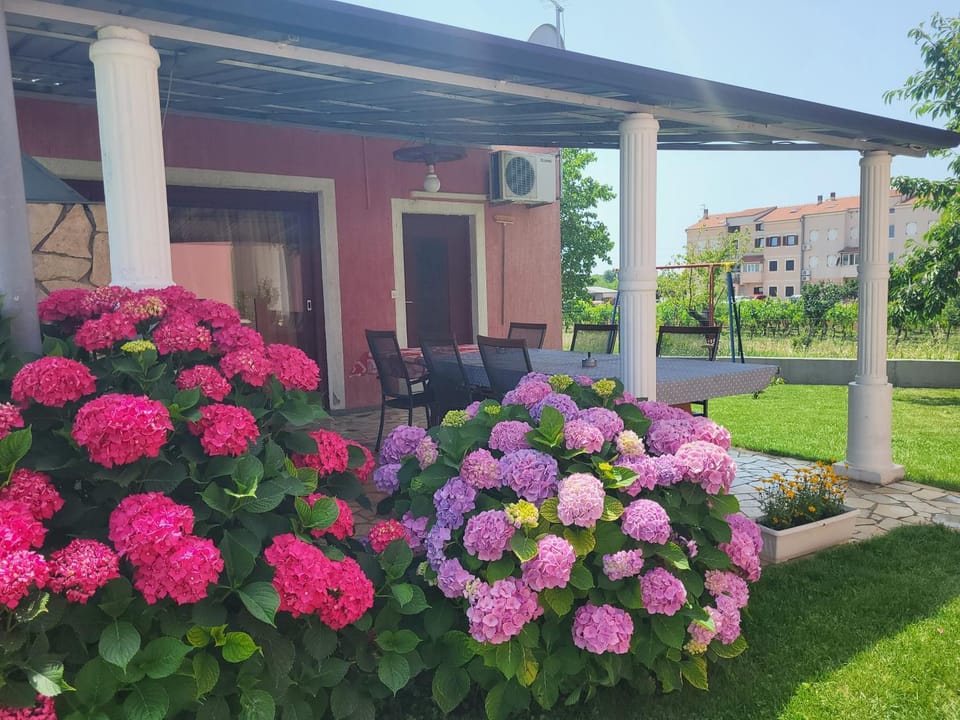 Apartments Dragica Apartment in Istria County