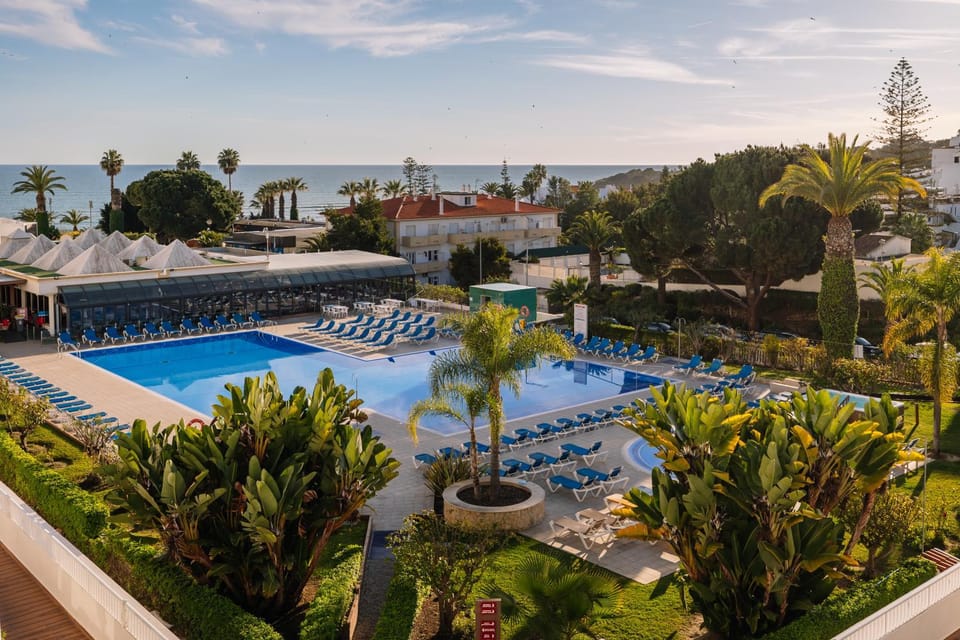 Garden, Garden view, Pool view, Sea view, sunbed