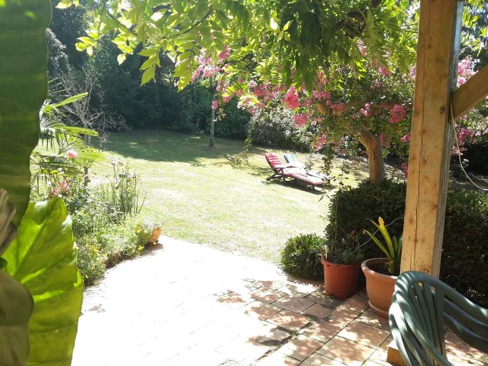 Garden view