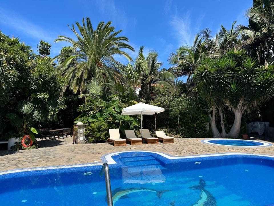 Garden, Pool view, Swimming pool, sunbed
