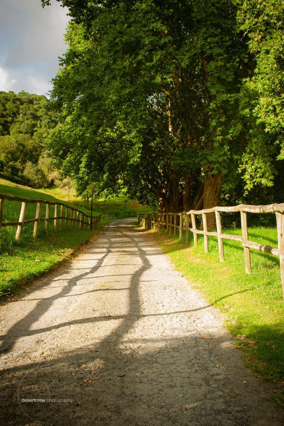 Spring, Natural landscape