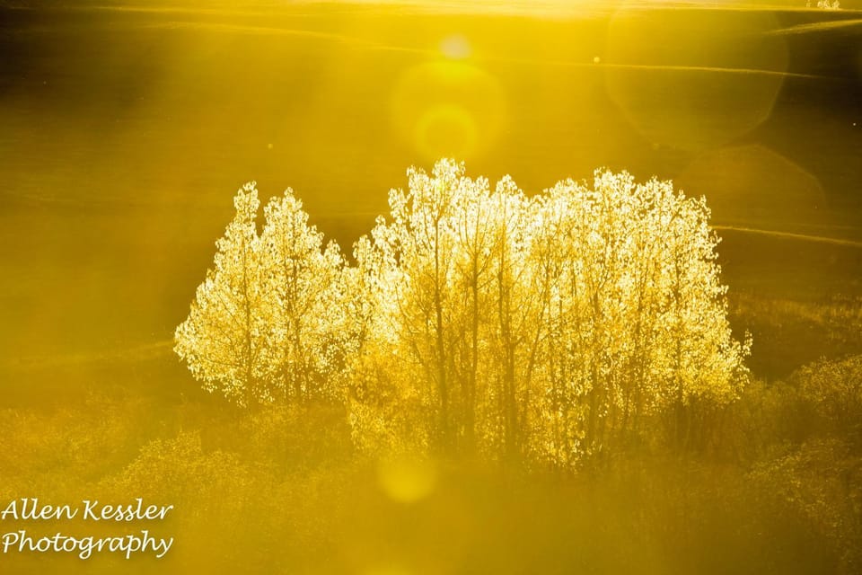 Natural landscape, Sunset