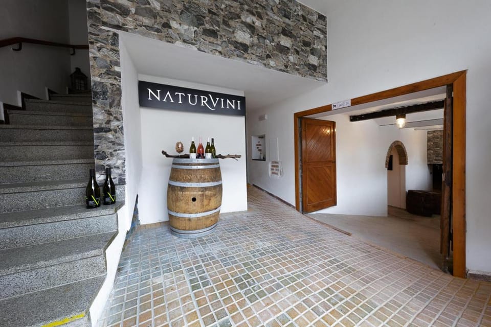 Penzion a vinařství NATURVINI Farm Stay in South Moravian Region