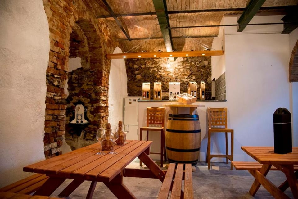Penzion a vinařství NATURVINI Farm Stay in South Moravian Region