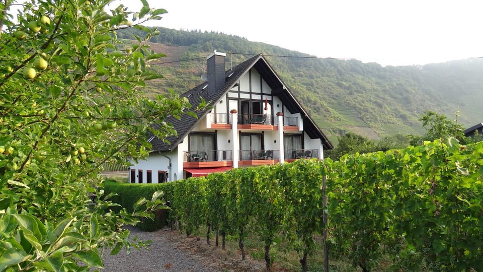 Haus Weingarten APPARTEMENTS-ZIMMER Bed and Breakfast in Cochem-Zell