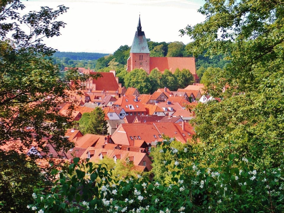 Spring, Day, On site, Mountain view