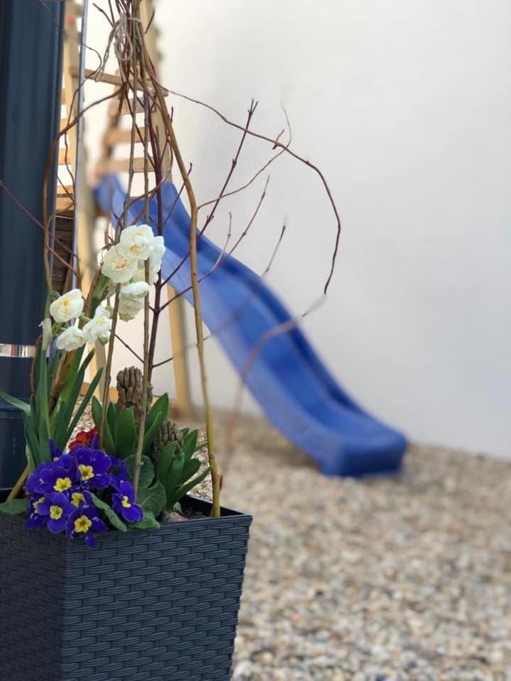 Apartmány Milovice Apartment in South Moravian Region