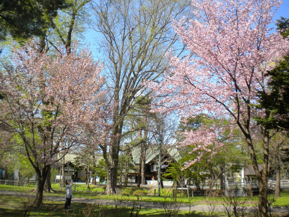 Spring