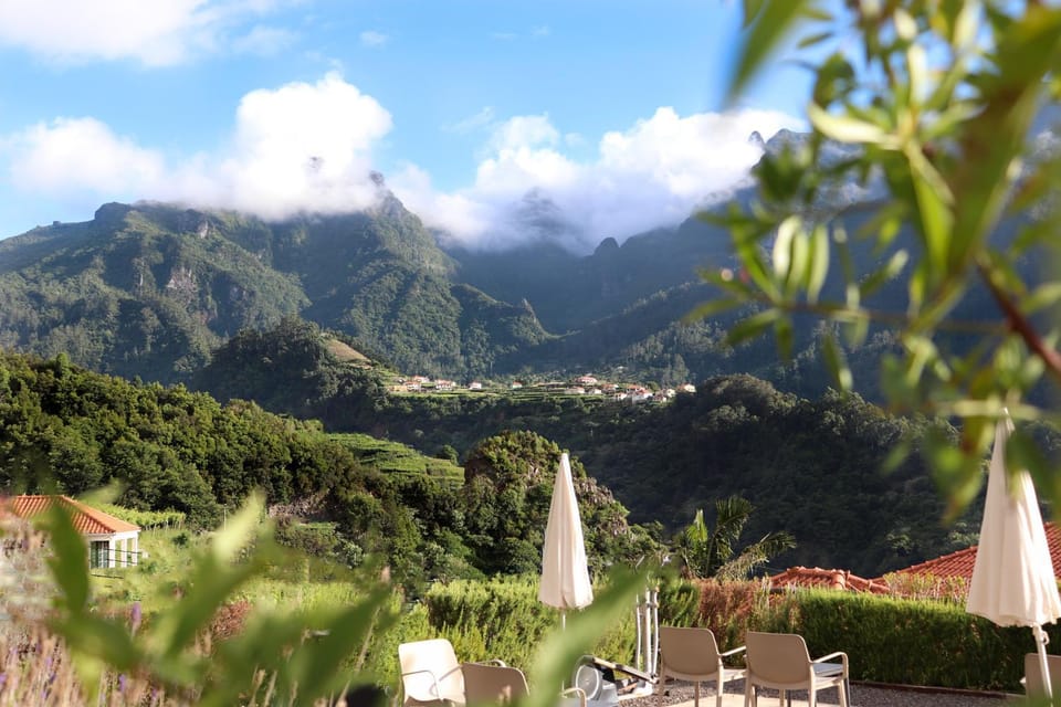 Natural landscape, Garden, Mountain view