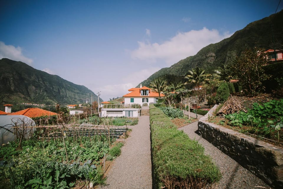 Garden, Garden, Garden view, Mountain view