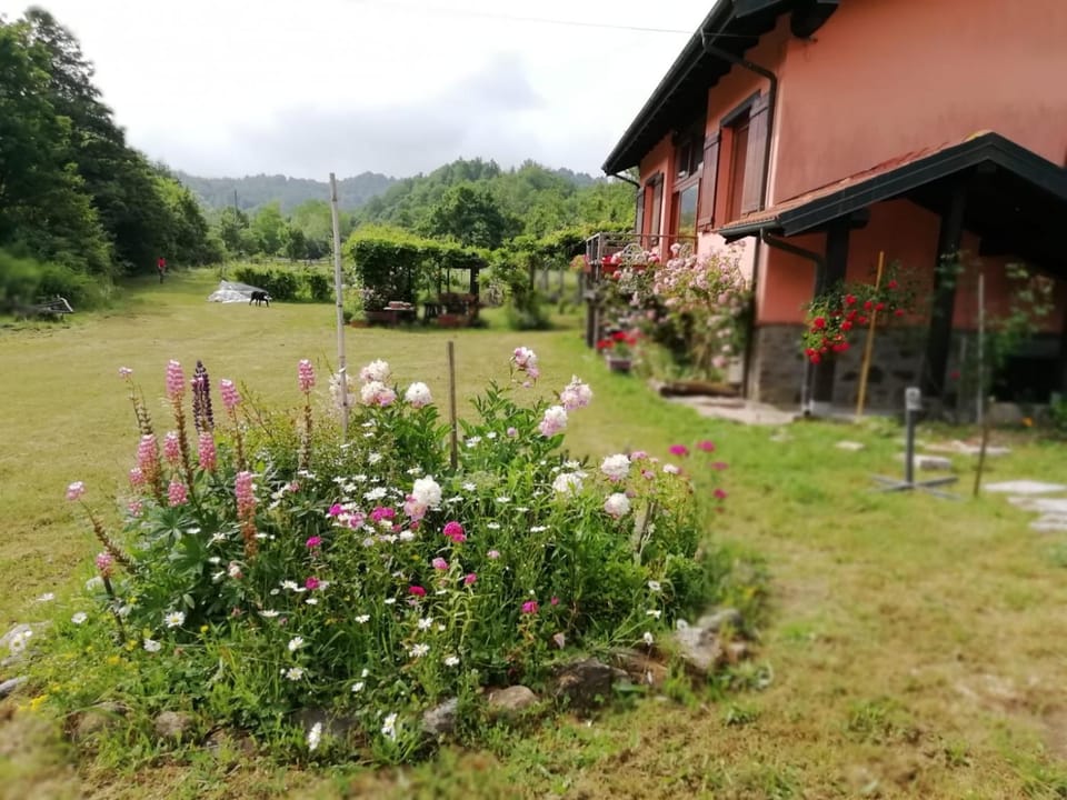 Il pettirosso di Giusvalla Bed and Breakfast in Liguria