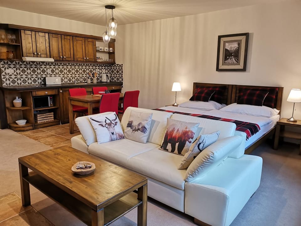 Kitchen or kitchenette, Living room, Dining area, Bedroom