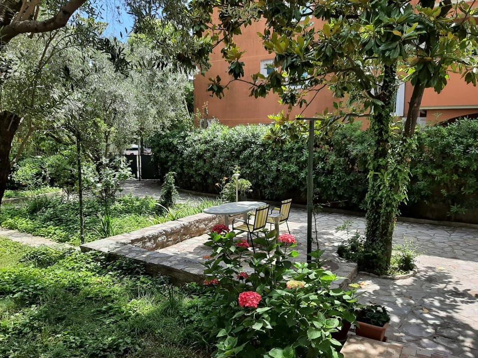 Patio, Garden, Garden view