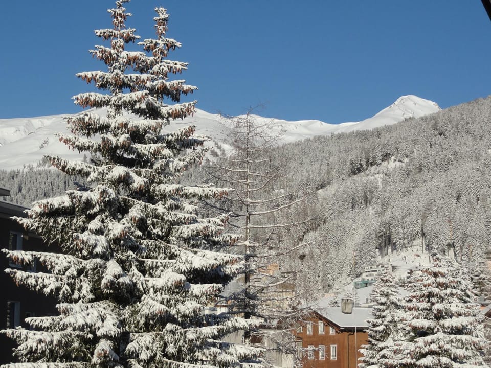 Winter, Garden view, Mountain view