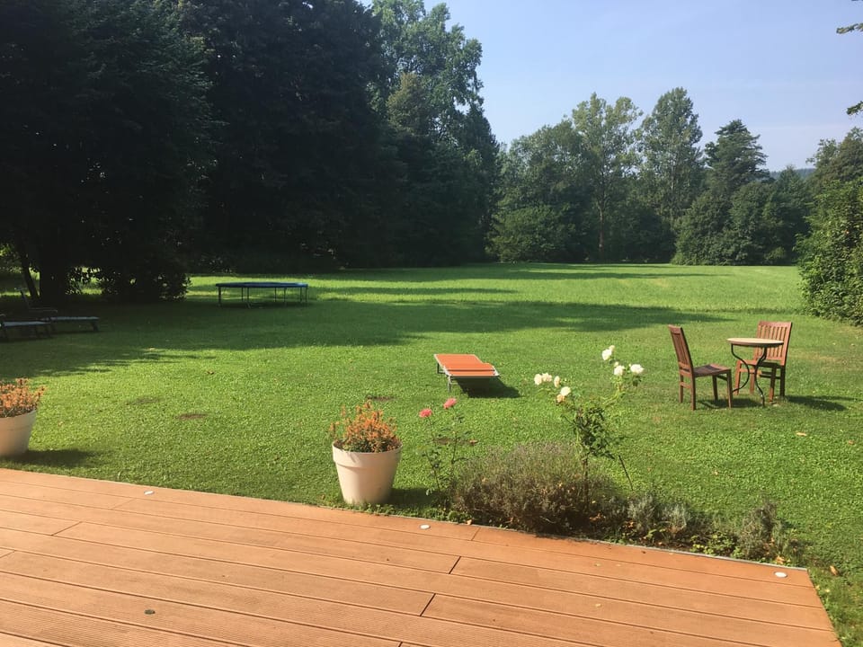 Garden view