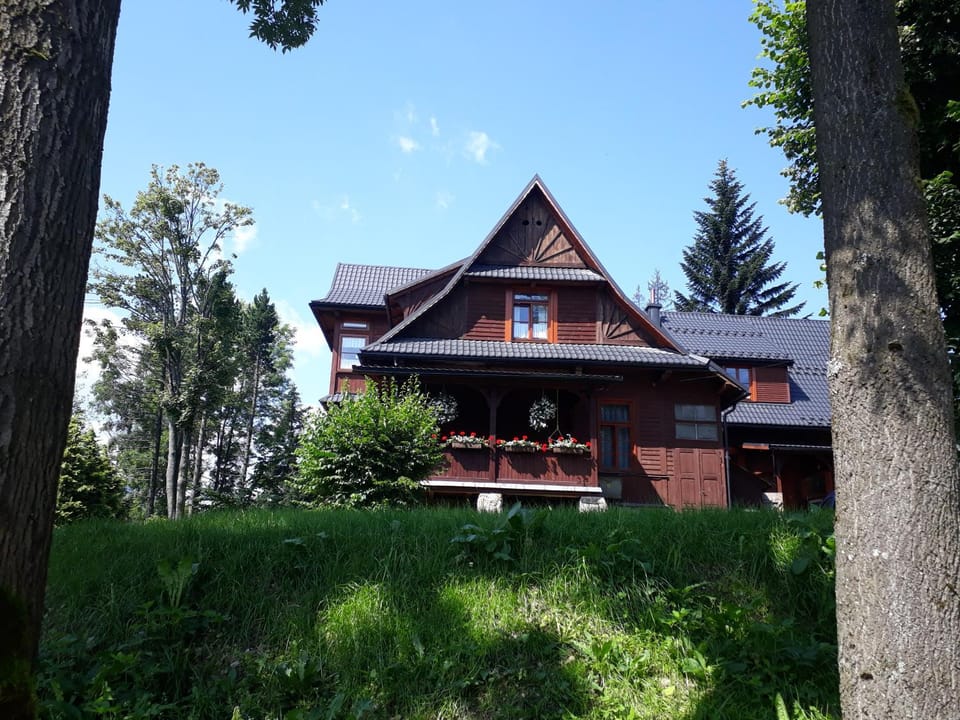 Property building, Summer, Garden