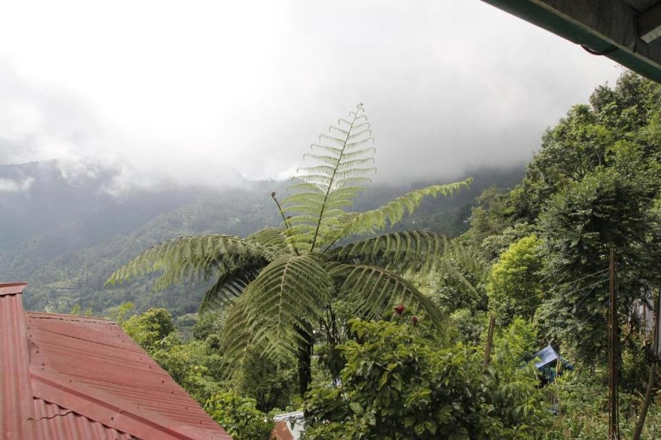Mahimalaya Homestay Vacation rental in India