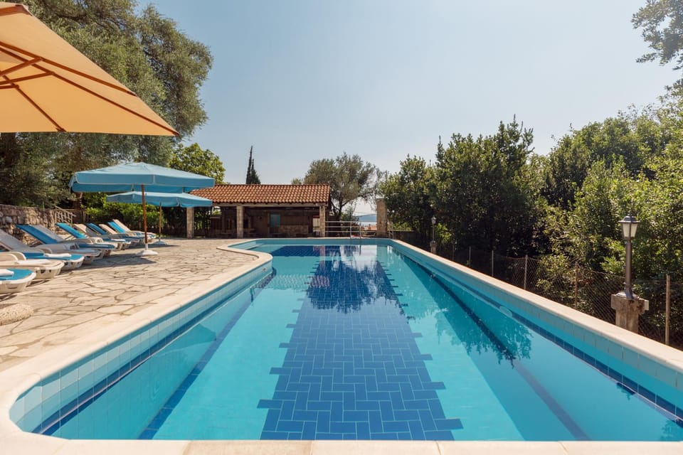 Pool view, Swimming pool, sunbed