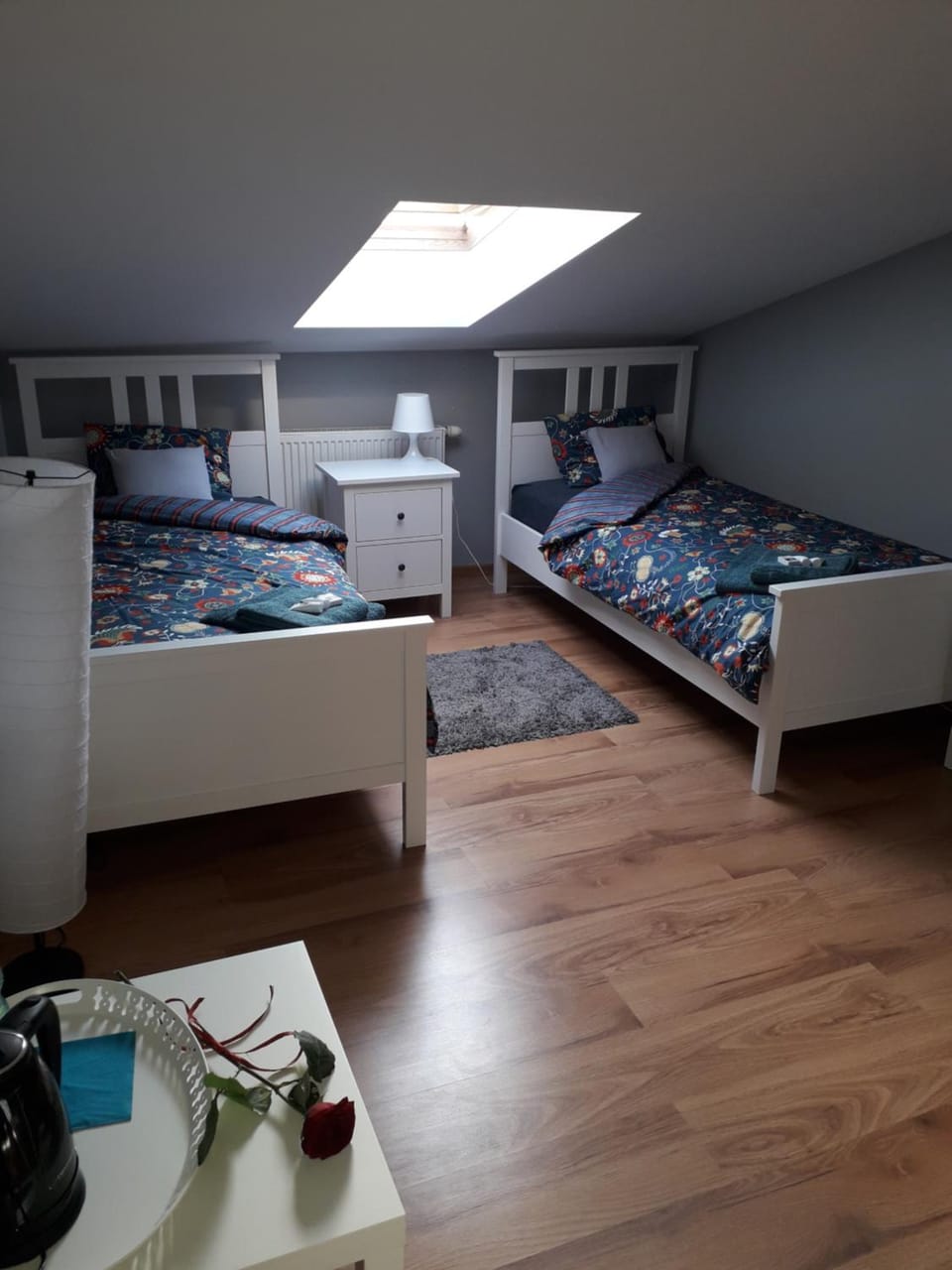 Photo of the whole room
