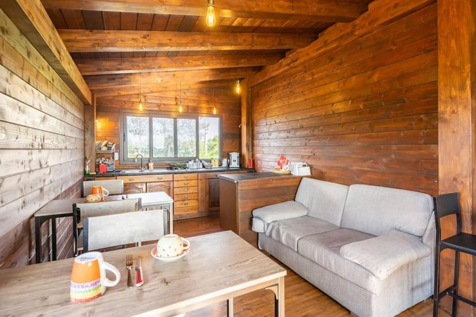 Food and drinks, Seating area, Communal kitchen
