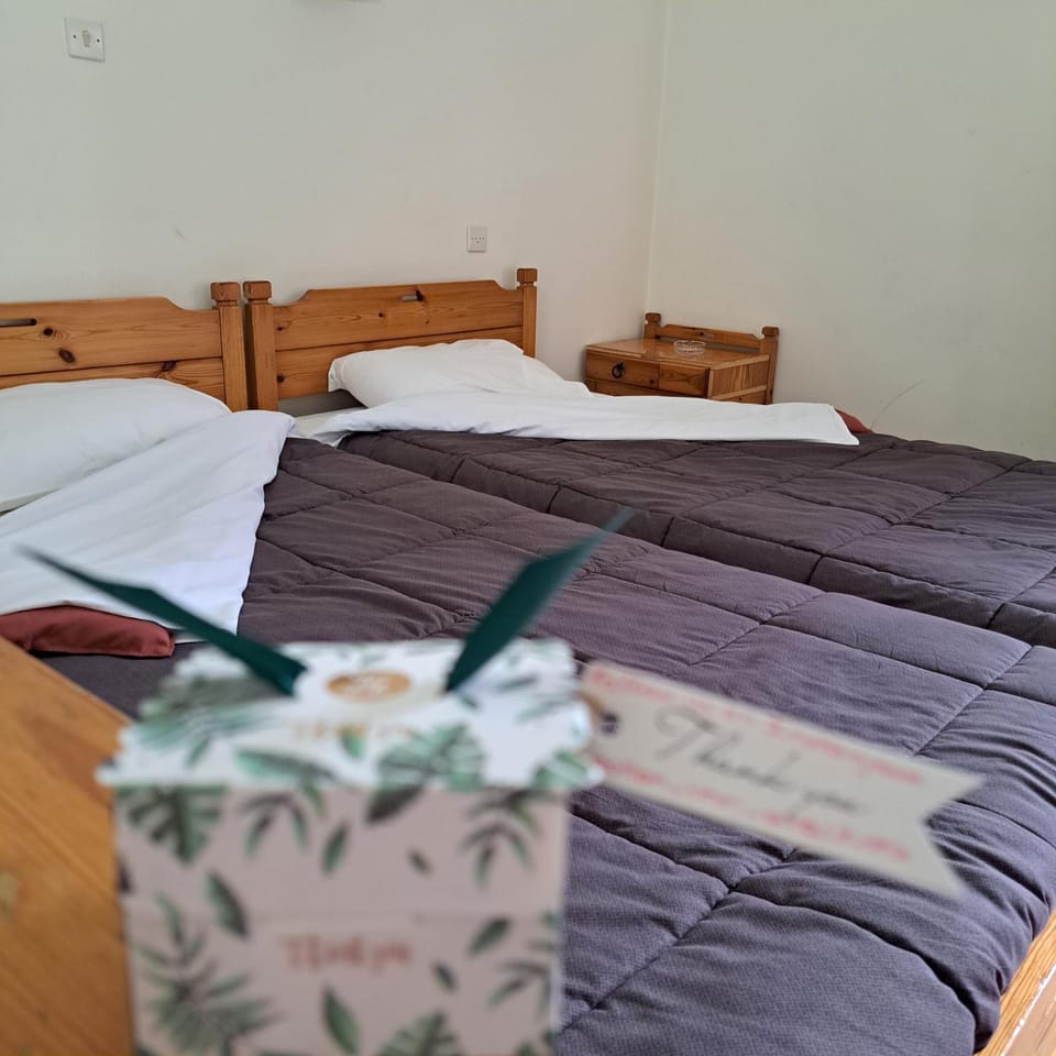 Apollon inn Bed and Breakfast in Peloponnese, Western Greece and the Ionian