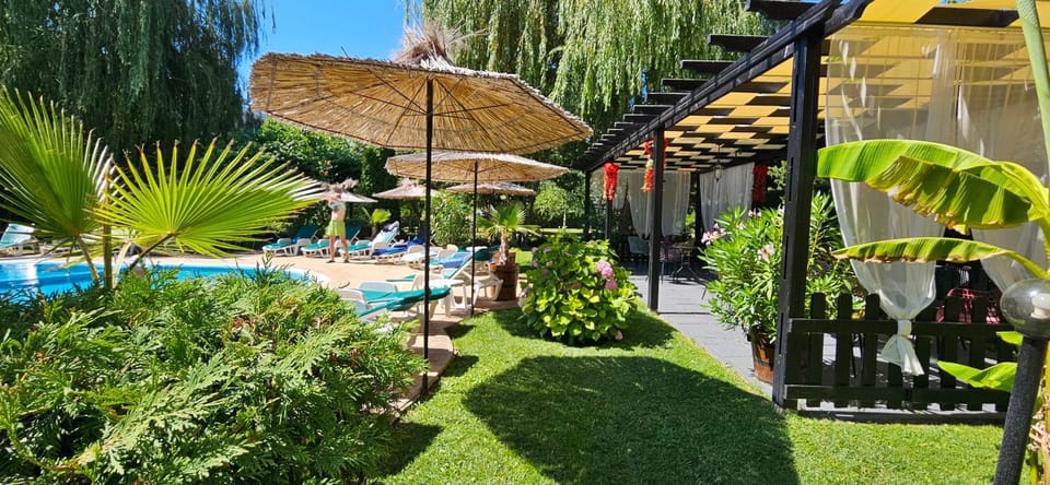 Patio, Day, Natural landscape, Garden, Garden view, Pool view, Swimming pool, sunbed