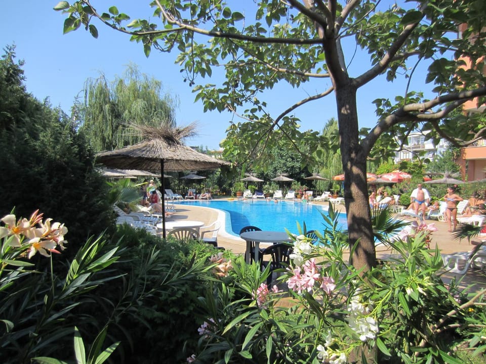 Day, Garden, Pool view, Swimming pool, Swimming pool