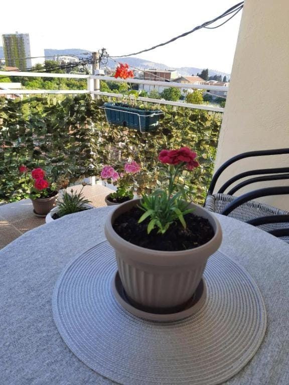 Šušanj Ilino APARTMAN Apartment in Montenegro