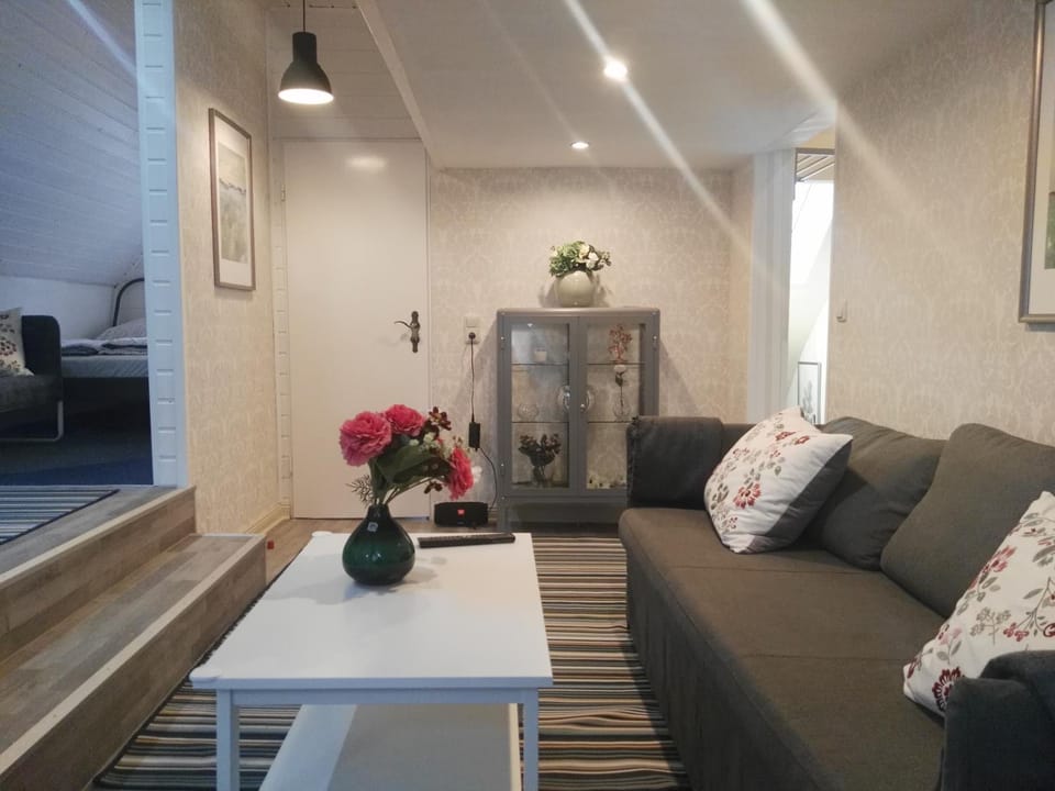 Janinas Loft Apartment in Winterberg