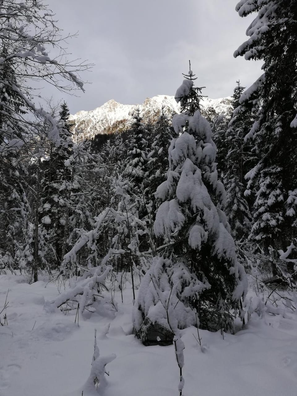 Landhaus Brigitte Bed and Breakfast in Salzburgerland