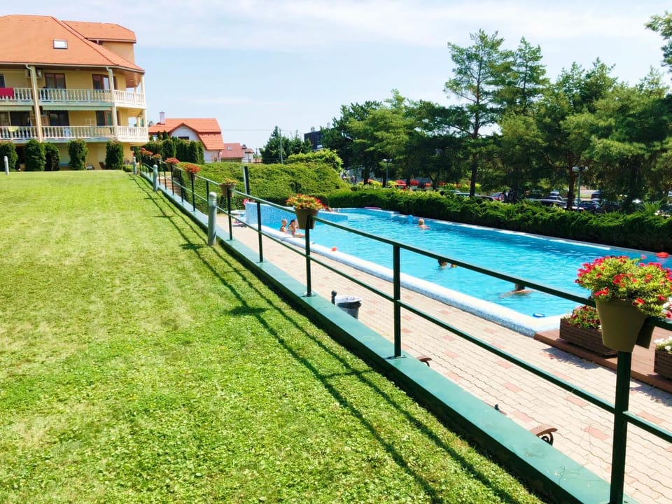 Summer, Garden, Swimming pool, Swimming pool