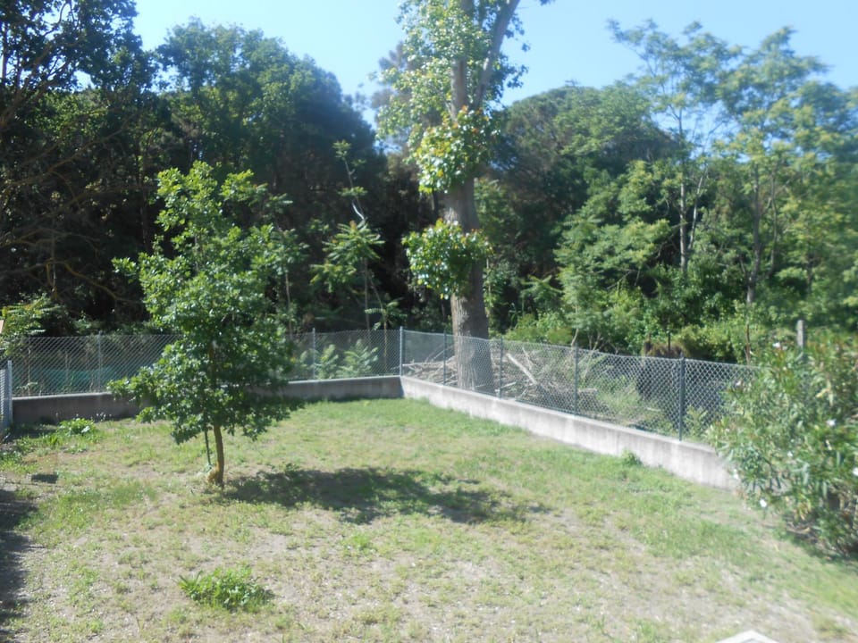 Garden, View (from property/room), Garden view