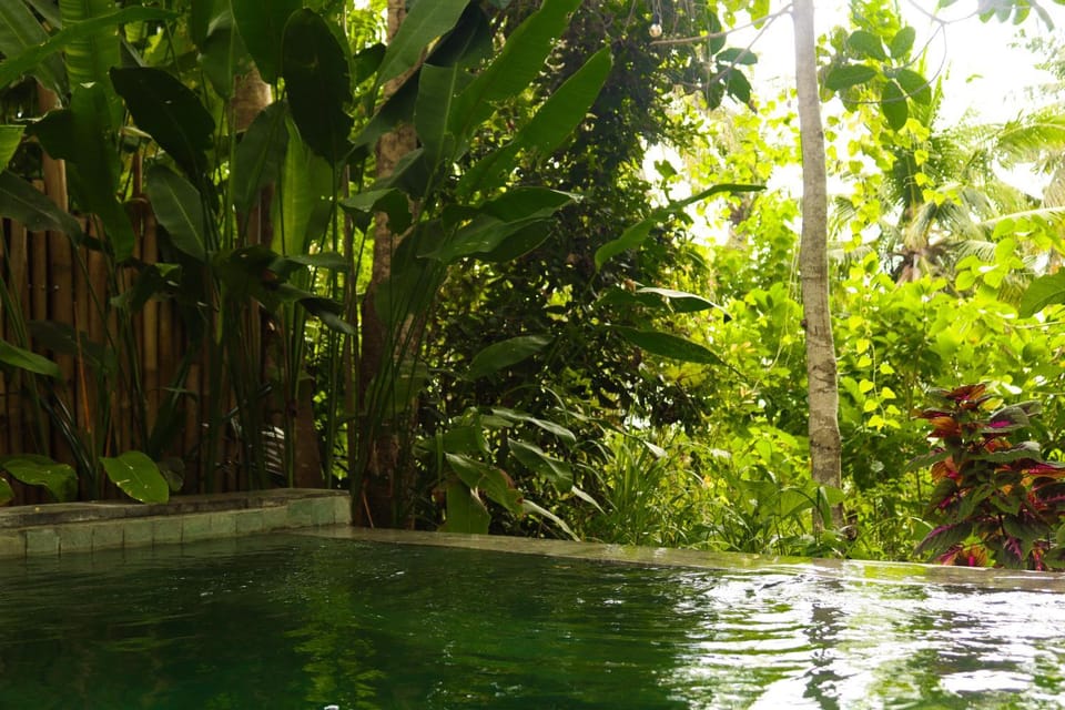 Exotic private glamping Luxury tent in Nusapenida