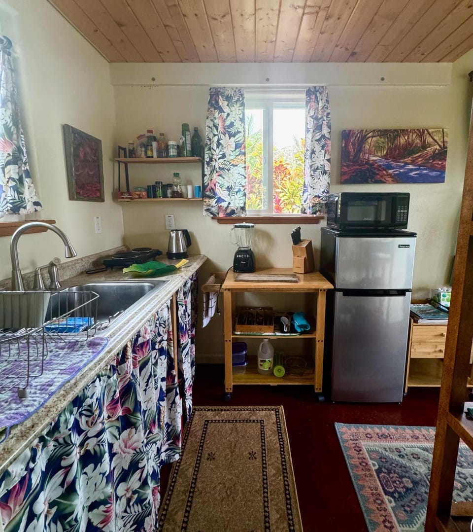 Kitchen or kitchenette, minibar, stove