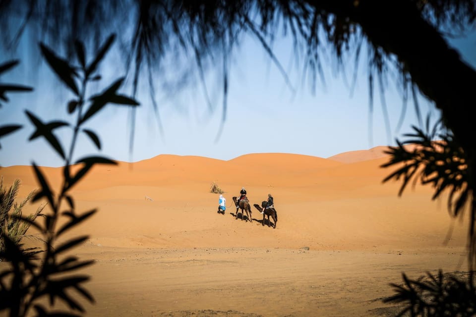 Dune House Bed and Breakfast in Morocco