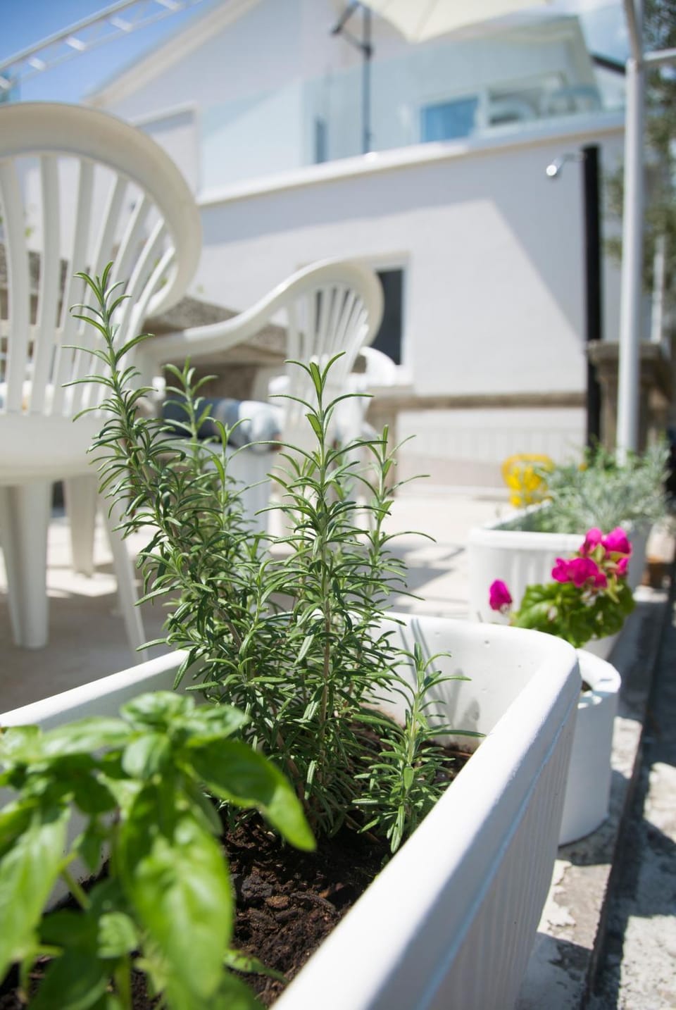 Garden, Decorative detail, Garden view