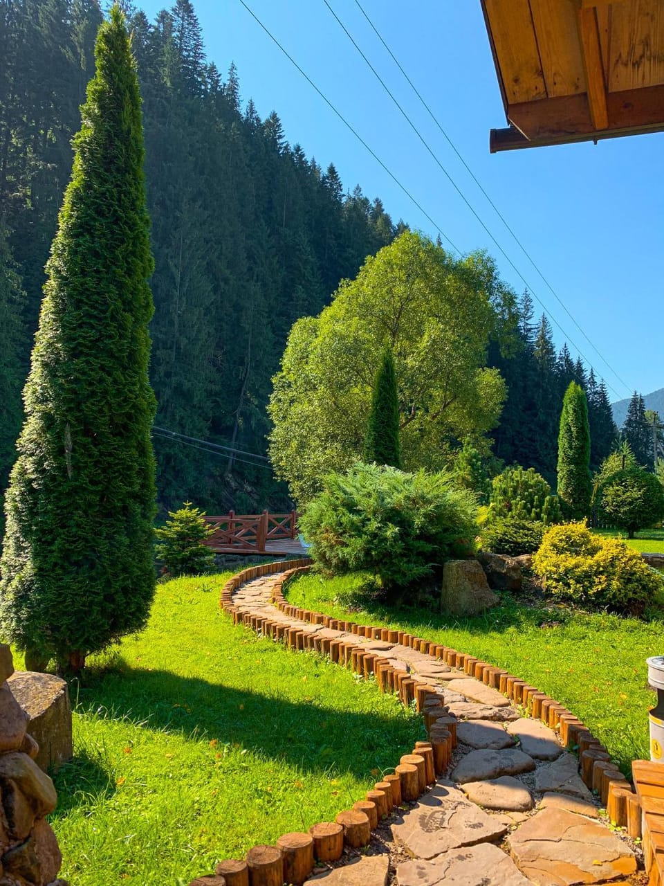 Garden view